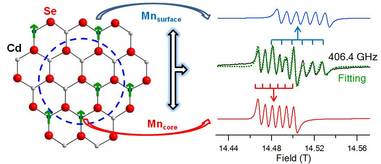 Graphic diagraph featuring Manganese along with a graph showing magnetic field vibrations